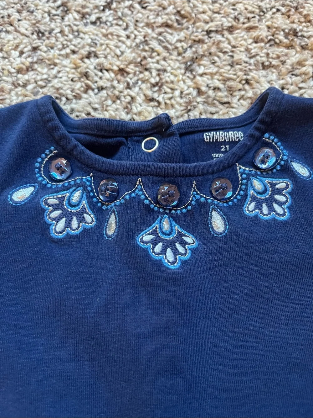 Gymboree 2010 Peacock Petals Blue Swing Top